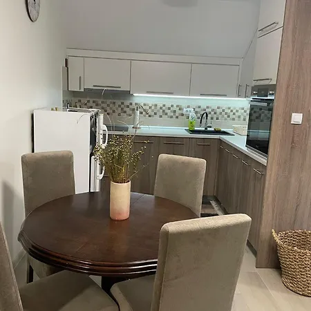 Apartment Andrea Novi Sad